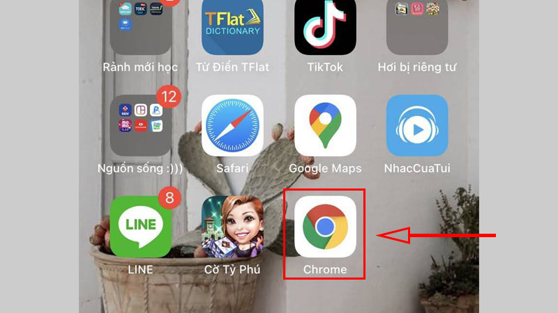 Cài chrome trên iPhone